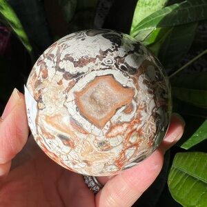 Money agate sphere (a) | crystal